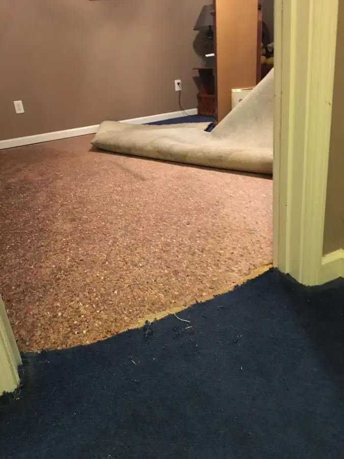 Carpet pad removal revealing water damage during Drying & Dehumidification in East Haven
